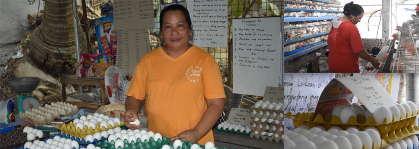 Kabuhayan Sa Ganap Na Kasarinlan Credit And Savings Cooperative